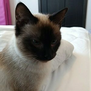 Meet your Posher, Grace